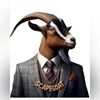 stycoon